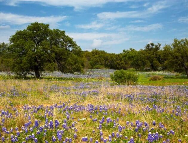 concan-weather-guide-frio-river-texas