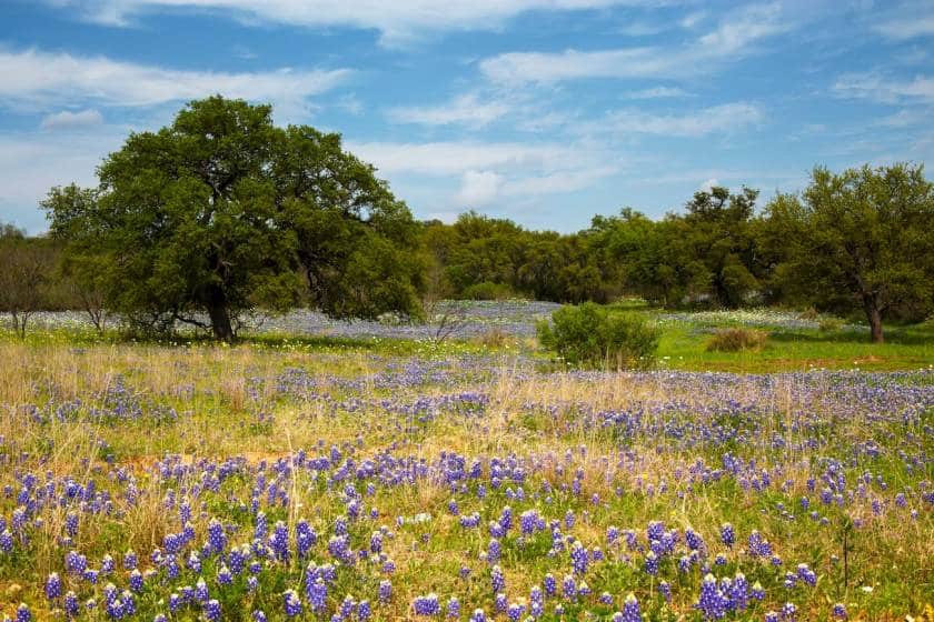 concan-weather-guide-frio-river-texas